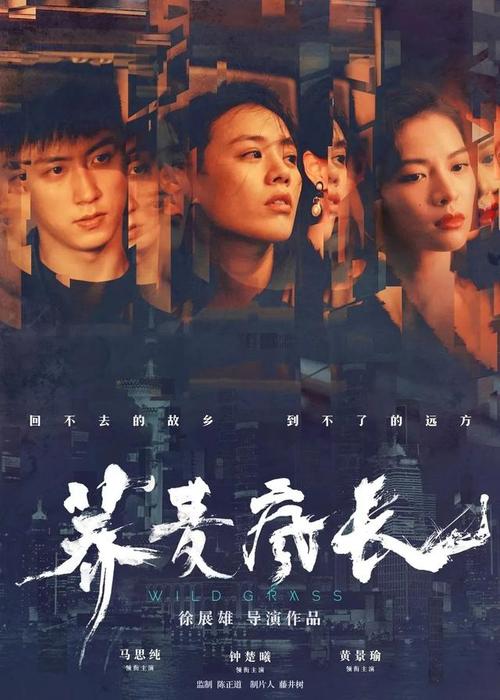 教育部学位与研究发展中心认证报告怎么弄